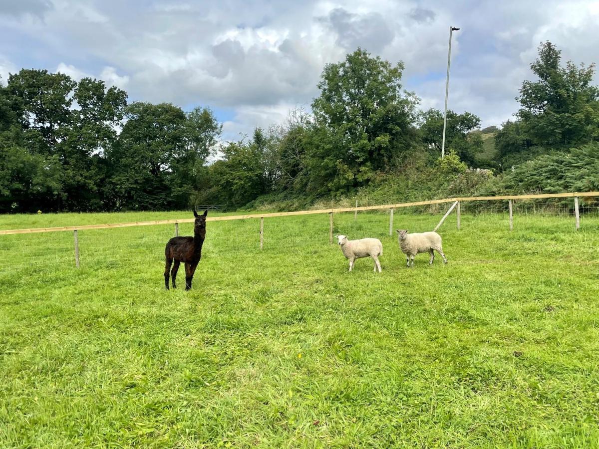 The Annex At Pantglas Farm Pontyclun Luaran gambar